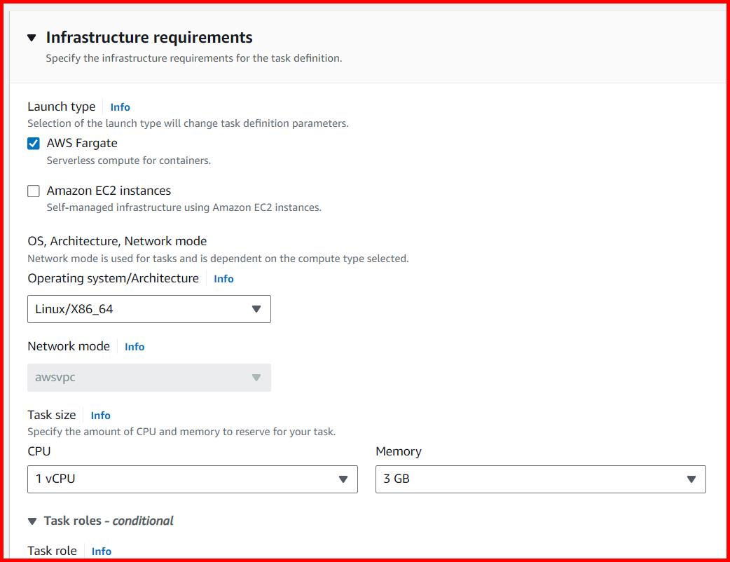 Picture showing setting the infrastructure requirements while creating the task definition